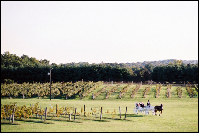 Philip Carter Winery, Weddings in Virginia, Photography by Jason Keefer